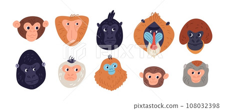 Cartoon monkeys heads. Different breeds funny primates. Exotic animals muzzles. Gorilla and gibbon. Wild mammals. Chimpanzee portraits. Orangutan and baboon face. Garish vector set 108032398