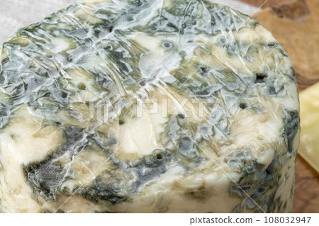 delicious blue cheese 108032947