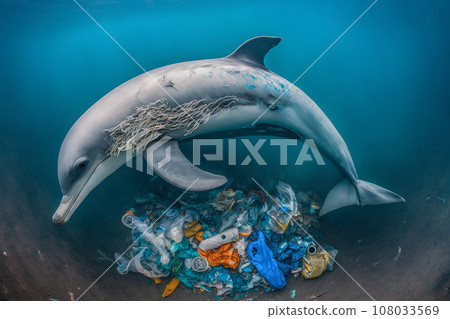 Environmental Problem. Ocean pollution concept. The tragic reality of plastic pollution in oceans. Illustration of an injured dolphin struggles to survive near a garbage heap. Generative Ai. Environmental Problem. Ocean pollution concept. The tragic reality of plastic pollution in oceans. Illustration of an injured dolphin struggles to survive near a garbage heap. Generative Ai. 108033569
