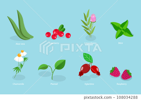 3D Isometric Flat Vector Set of Medical Herbs And Berries 3D Isometric Flat Vector Set of Medical Herbs And Berries 108034288