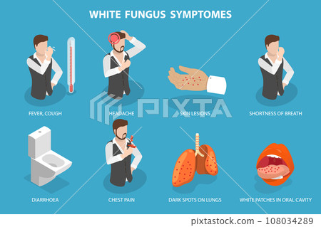 3D Isometric Flat Vector Illustration of White Fungus 3D Isometric Flat Vector Illustration of White Fungus 108034289