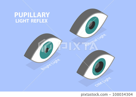 3D Isometric Flat Vector Illustration of Pupillary Light Reflex 108034304