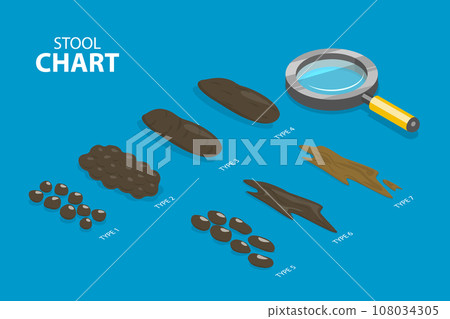 3D Isometric Flat Vector Illustration of Bristol Stool Chart 108034305