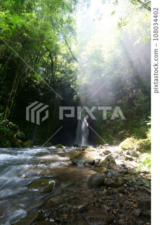 Nagano Falls flowing through the forest 108034402