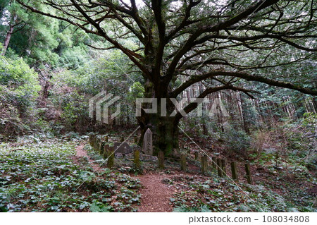 5173 Kaya of Nishihira 108034808