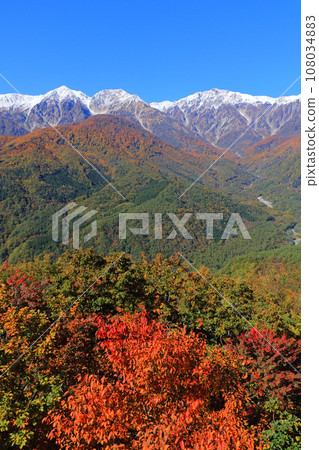 秋天從白馬岩岳避暑山莊看到的北阿爾卑斯山 108034883