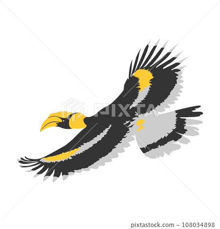 Great hornbill bird flying 108034898