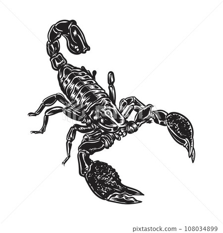 Graphical scorpion 108034899