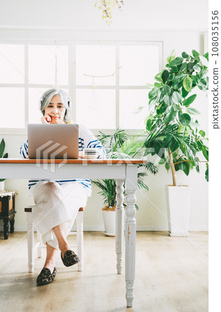 PC and senior woman 108035156