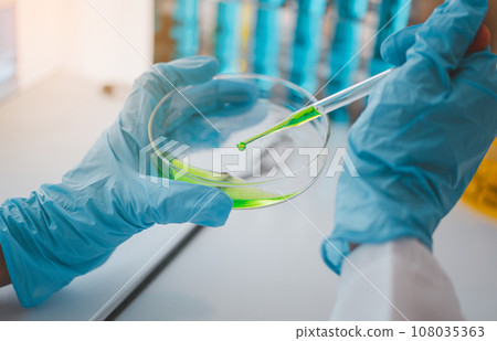 Female researchers are experimenting with pipette dropping a sample into a test tube in an experiment research in laboratory... 108035363