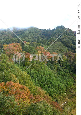 View from Fudo Ohashi Bridge, Lake Agatsuma, early morning scenery View from Fudo Ohashi Bridge, Lake Agatsuma, early morning scenery 108035480