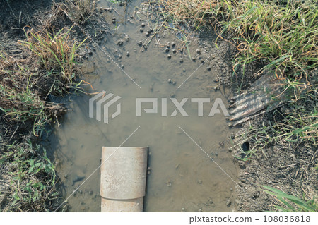 Rice field waterway ecosystem 108036818