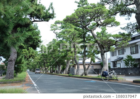 舊東海道、舞坂宿松樹線 舊東海道、舞坂宿松樹線 108037047