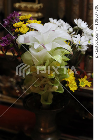 秋天的薑黃花 供奉在佛壇上的花 108037806