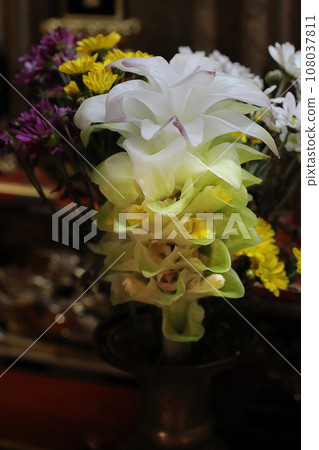 秋天的薑黃花 供奉在佛壇上的花 108037811