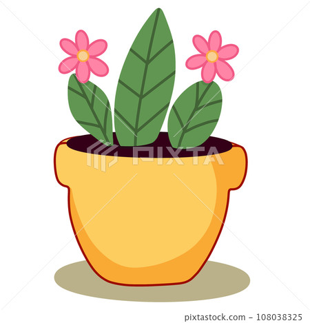 flower in pot 108038325