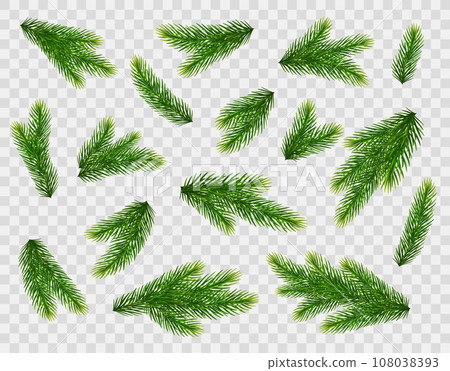 Christmas fir tree branches. Pine, spruce green branches isolated on transparent background. Christmas decorations. Vector illustration Christmas fir tree branches. Pine, spruce green branches isolated on transparent background. Christmas decorations. Vector illustration 108038393