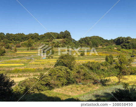 飛鳥村稻淵梯田的秋景 飛鳥村稻淵梯田的秋景 108038450