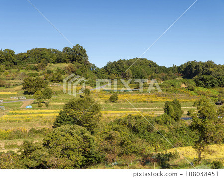 飛鳥村稻淵梯田的秋景 飛鳥村稻淵梯田的秋景 108038451