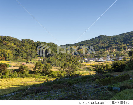 The rice terraces of Inabuchi, Asuka Village, with its autumn scenery 108038452