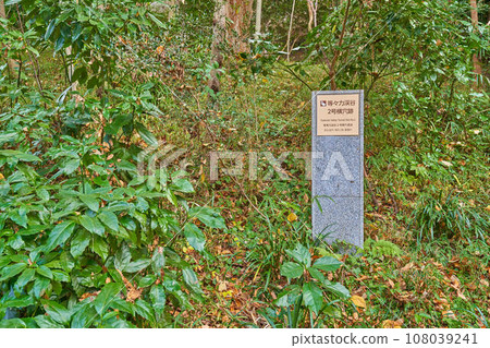 秋天的東京世田谷區轟谷公園2號邊洞遺址 108039241