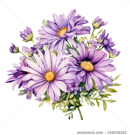 Purple Daisy Bouquet Floral Watercolor Clipart isolated on Transparent Background. 108039261