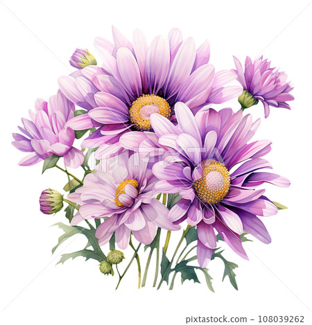 Purple Daisy Bouquet Floral Watercolor Clipart isolated on Transparent Background. 108039262