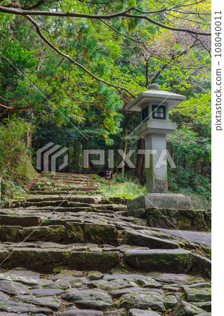 Kumano Kodo, Daimonzaka stone pavement (Nachikatsuura Town, Wakayama Prefecture) 108040011