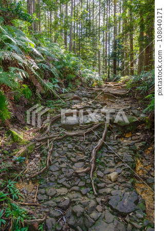 三軒茶屋遺址附近的熊野古道舊鵝卵石路面（和歌山縣田邊市本宮町） 108040171