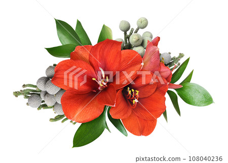 Red amaryllis flowers in a floral arrangement isolated Red amaryllis flowers in a floral arrangement isolated 108040236