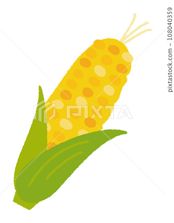 Handwritten vector illustration of corn/food/carbohydrate Handwritten vector illustration of corn/food/carbohydrate 108040359