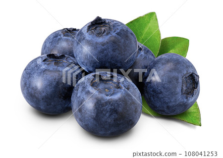 blueberry blueberry 108041253