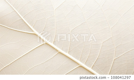 Close up texture leaf structure macro photography, abstract texture, Generative AI illustration 108041297