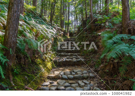 三軒茶屋和哈雷殿王子之間的熊野古道鵝卵石（和歌山縣田邊市本宮町） 108041982