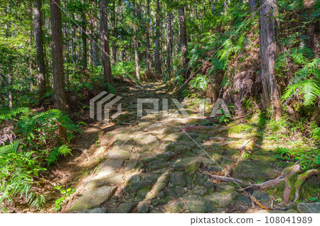 三軒茶屋和哈雷殿王子之間的熊野古道鵝卵石（和歌山縣田邊市本宮町） 108041989