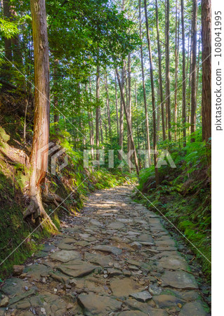 三軒茶屋和哈雷登王子之間的熊野古道的舊鵝卵石路面（和歌山縣田邊市本宮町） 108041995
