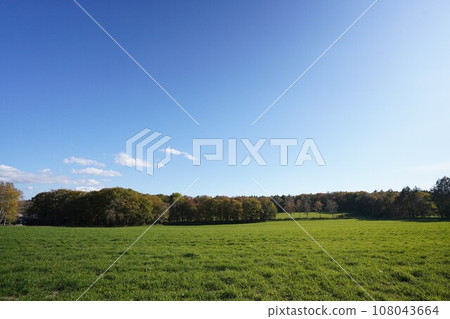 秋天陽光明媚的草地 108043664