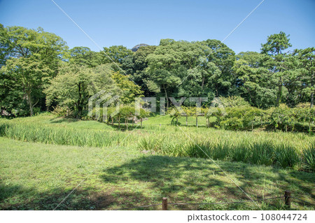 Koishikawa Korakuen Koraku, Bunkyo-ku, Tokyo 108044724