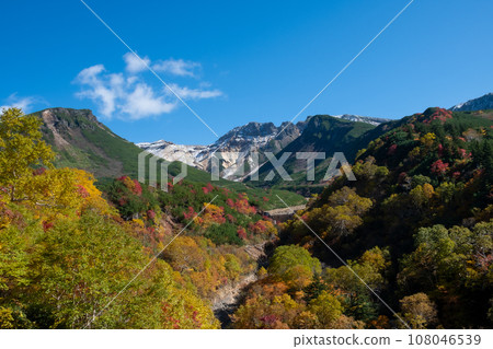 十勝嶽山脈,色彩繽紛的陽光明媚的秋季高山山脈 十勝嶽山脈,色彩繽紛的陽光明媚的秋季高山山脈 108046539