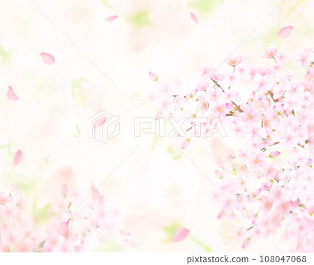 Close-up background material illustration of light pink cherry blossom flowers and falling petals 108047068