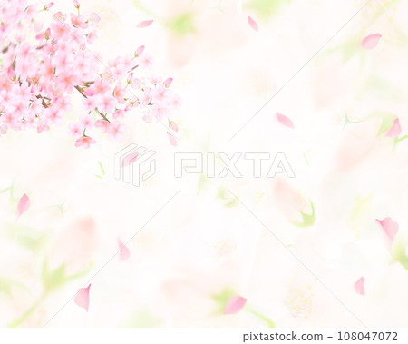 美麗華麗的淺粉色櫻花盛開和花瓣落下的春天框架素材插圖 108047072