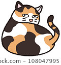 Calico cat looking back 108047995