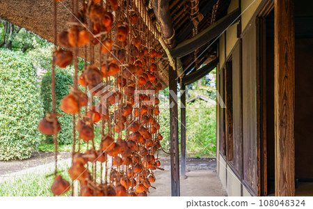 農舍屋簷下掛著秋天的乾柿子 108048324