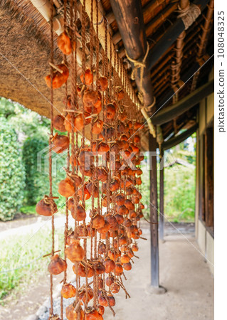農舍屋簷下掛著秋天的乾柿子 108048325
