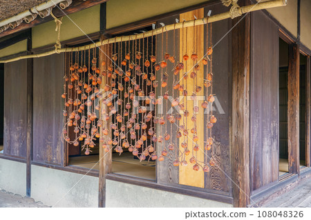 農舍屋簷下掛著秋天的乾柿子 108048326