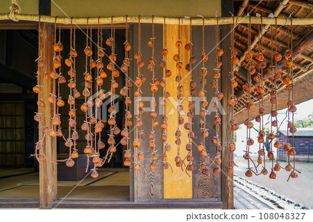 農舍屋簷下掛著秋天的乾柿子 108048327