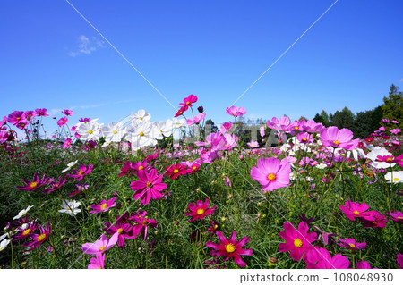 宇宙 5769 108048930