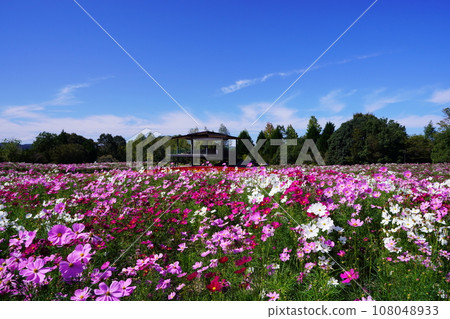 Cosmos 5778 Cosmos 5778 108048933