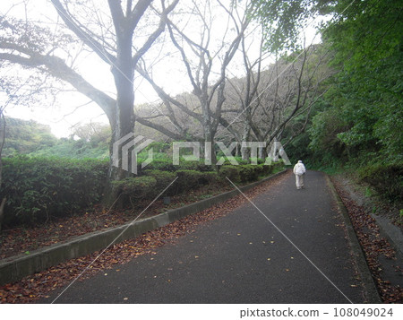 風景照片 高取山健行路線 風景照片 高取山健行路線 108049024