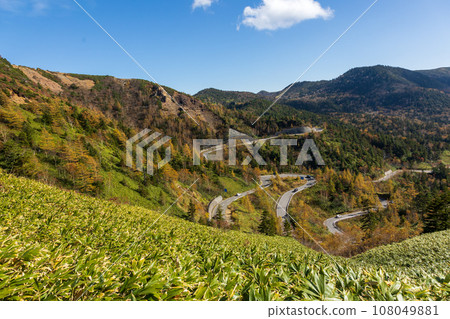秋季滋賀草津高原路線萬座溫泉三岔路口附近 108049881